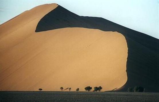 Bild Nr. 1245 - 141 mal gesehen Bild Nr. 1245 - 141 mal gesehen