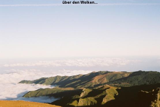 Bild Nr. 1529 - 657 mal gesehen Bild Nr. 1529 - 657 mal gesehen