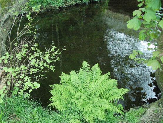 Bild Nr. 17862 - 247 mal gesehen Bild Nr. 17862 - 247 mal gesehen