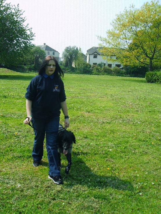 Bild Nr. 17868 - 246 mal gesehen Bild Nr. 17868 - 246 mal gesehen