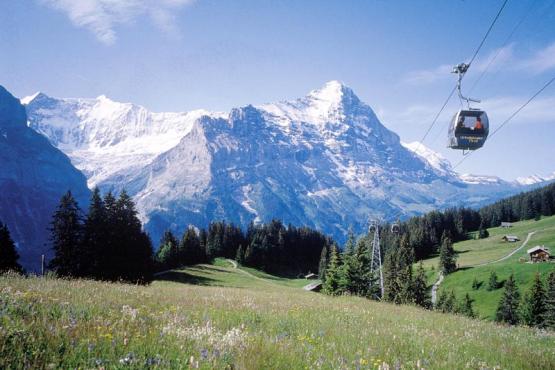 Bild Nr. 3027 - 315 mal gesehen Bild Nr. 3027 - 315 mal gesehen