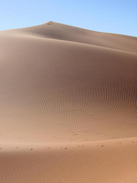 Bild Nr. 3578 - 287 mal gesehen Bild Nr. 3578 - 287 mal gesehen
