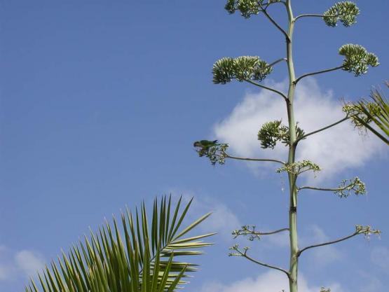 Bild Nr. 3895 - 298 mal gesehen Bild Nr. 3895 - 298 mal gesehen