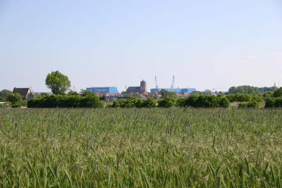 Bild Nr. 4411 - 299 mal gesehen Bild Nr. 4411 - 299 mal gesehen