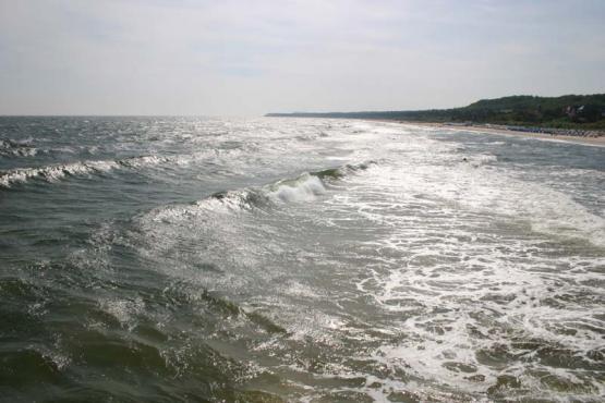 Bild Nr. 4418 - 256 mal gesehen Bild Nr. 4418 - 256 mal gesehen