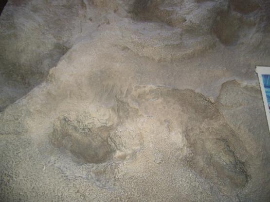 Bild Nr. 7939 - 223 mal gesehen Bild Nr. 7939 - 223 mal gesehen