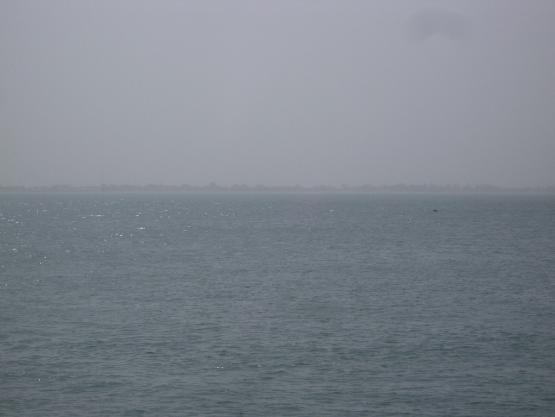 Bild Nr. 8885 - 221 mal gesehen Bild Nr. 8885 - 221 mal gesehen