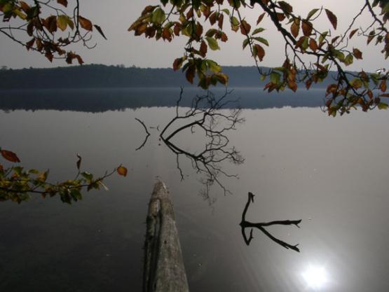 Bild Nr. 9577 - 246 mal gesehen Bild Nr. 9577 - 246 mal gesehen