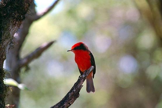 Bild Nr. 1228 - 140 mal gesehen Bild Nr. 1228 - 140 mal gesehen