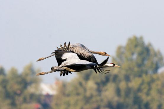 Bild Nr. 21493 - 283 mal gesehen Bild Nr. 21493 - 283 mal gesehen