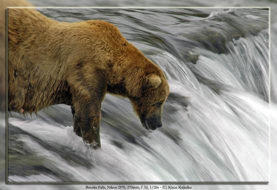 Bild Nr. 6036 - 438 mal gesehen Bild Nr. 6036 - 438 mal gesehen
