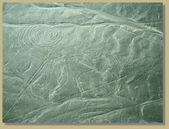 Bild Nr. 732 - 195 mal gesehen Bild Nr. 732 - 195 mal gesehen